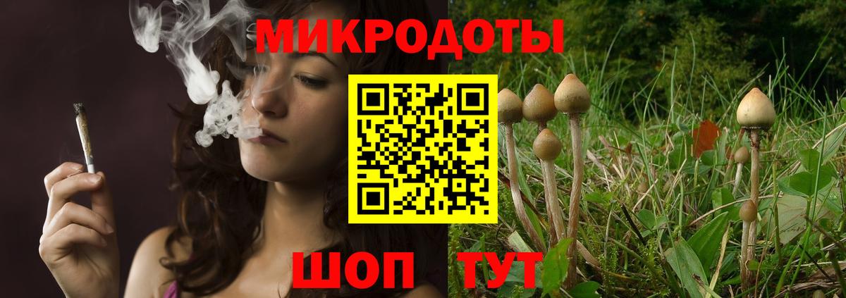 Псилоцибиновые грибы Psilocybine cubensis Амурск